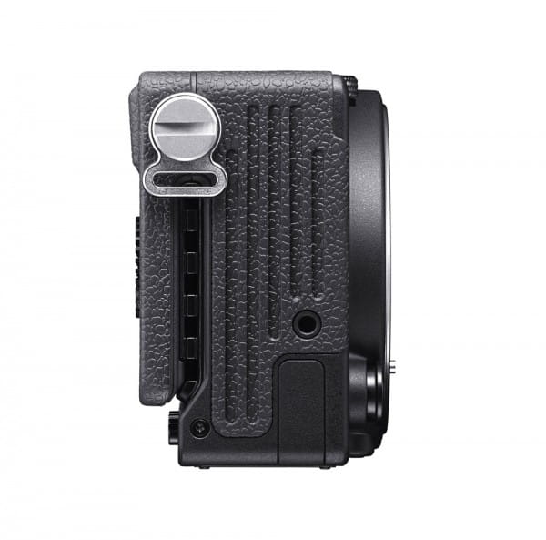 SIGMA_C43900 SIGMA_C43900