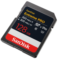 SAN_SDSDXDM-128G-GN4IN